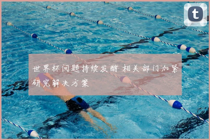 世界杯问题持续发酵 相关部门加紧研究解决方案