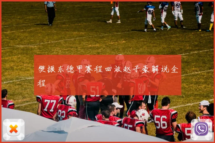 樊振东德甲赛程回放赵子豪解说全程