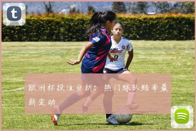 欧洲杯投注分析:热门球队赔率最新变动