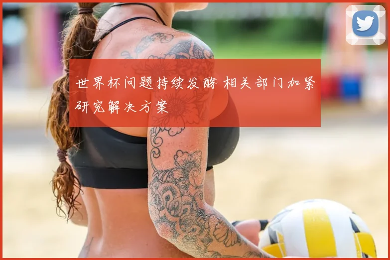 世界杯问题持续发酵 相关部门加紧研究解决方案