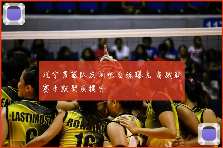 辽宁男篮队友训练合练曝光 备战新赛季默契度提升