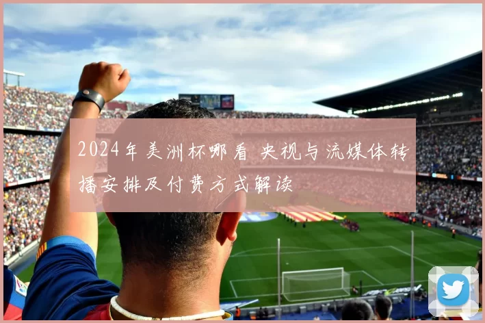 2024年美洲杯哪看 央视与流媒体转播安排及付费方式解读