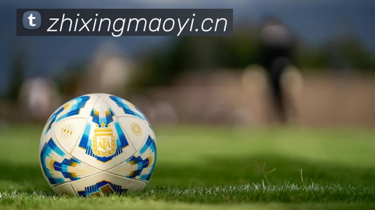 乐鱼官方网站 - 乐鱼leyu(中国)APP 高清赛事图